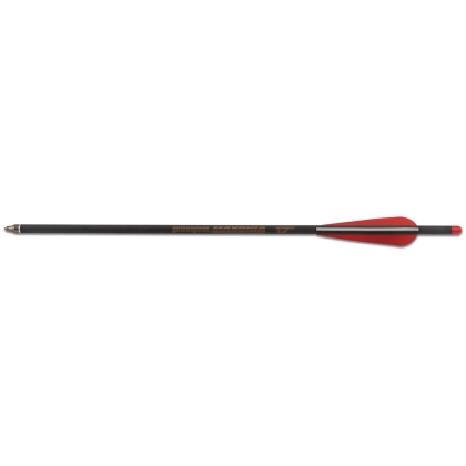Set sageti arbaleta carbon Maximal Maxonia 17 inch
