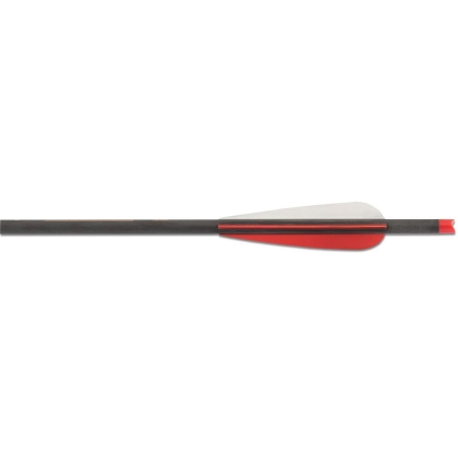 Set sageti arbaleta carbon Maximal Maxonia 17 inch