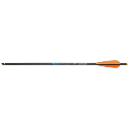 Set 10 sageti arbaleta Skylon Composite 16 inch