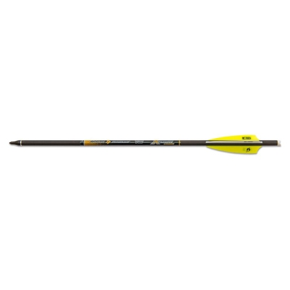 Set sageti arbaleta Skylon Carbon 16 inch