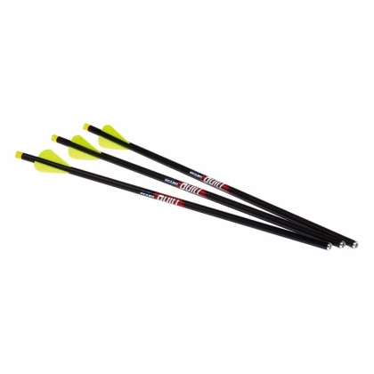Set sageti arbaleta Excalibur Quill Carbon iluminate