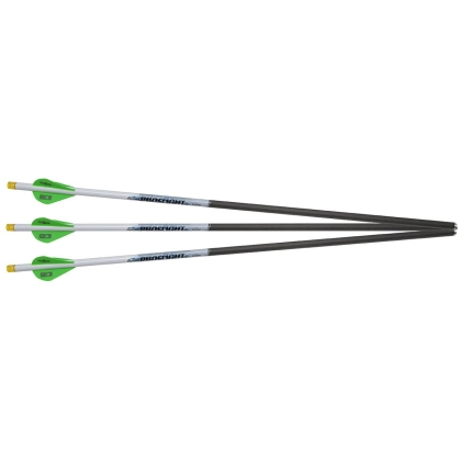 Sageti carbon Excalibur ProFlight Matrix iluminate