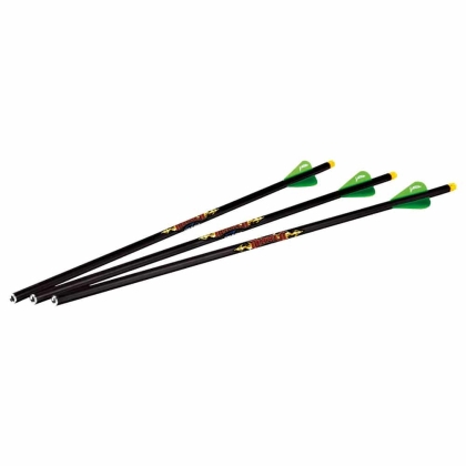 Set sageti arbaleta Excalibur Diablo Carbon iluminate