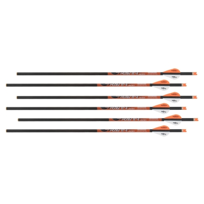 Set sageti arbaleta carbon Ravin