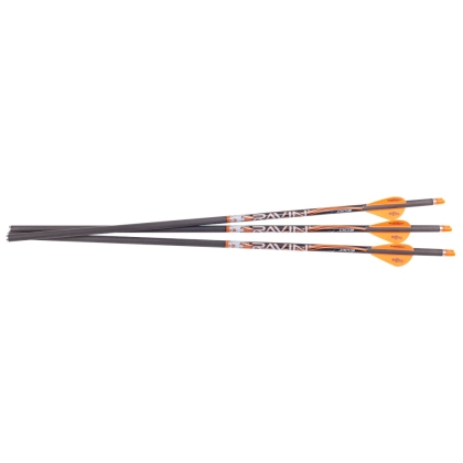 Set sageti arbaleta carbon Ravin iluminate