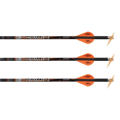 Set 3 sageti arbaleta carbon Ravin Premium iluminate