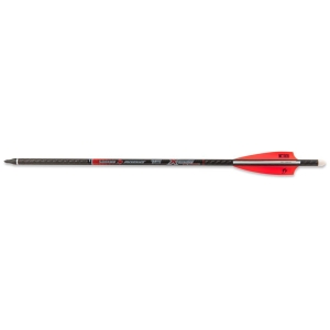 Set sageti arbaleta Skylon 3K Carbon 22 inch
