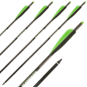 Set sageti arbaleta carbon Barnett Headhunter 20 inch